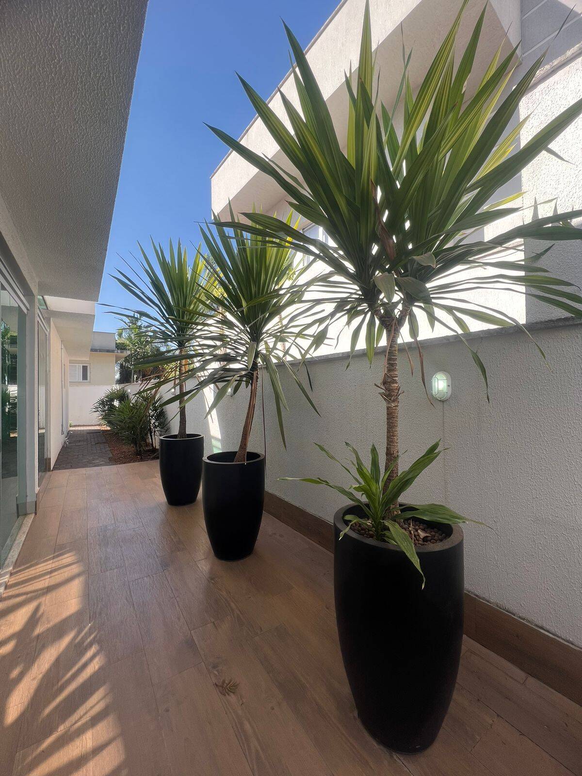 Casa, 4 quartos, 230 m² - Foto 18