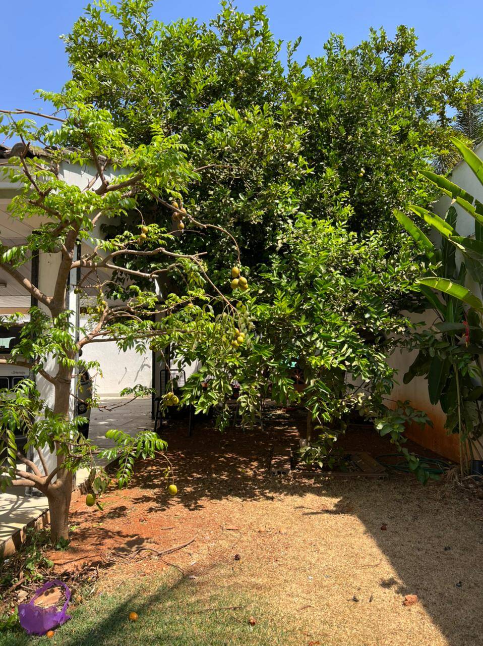 Casa à venda com 4 quartos, 444m² - Foto 11