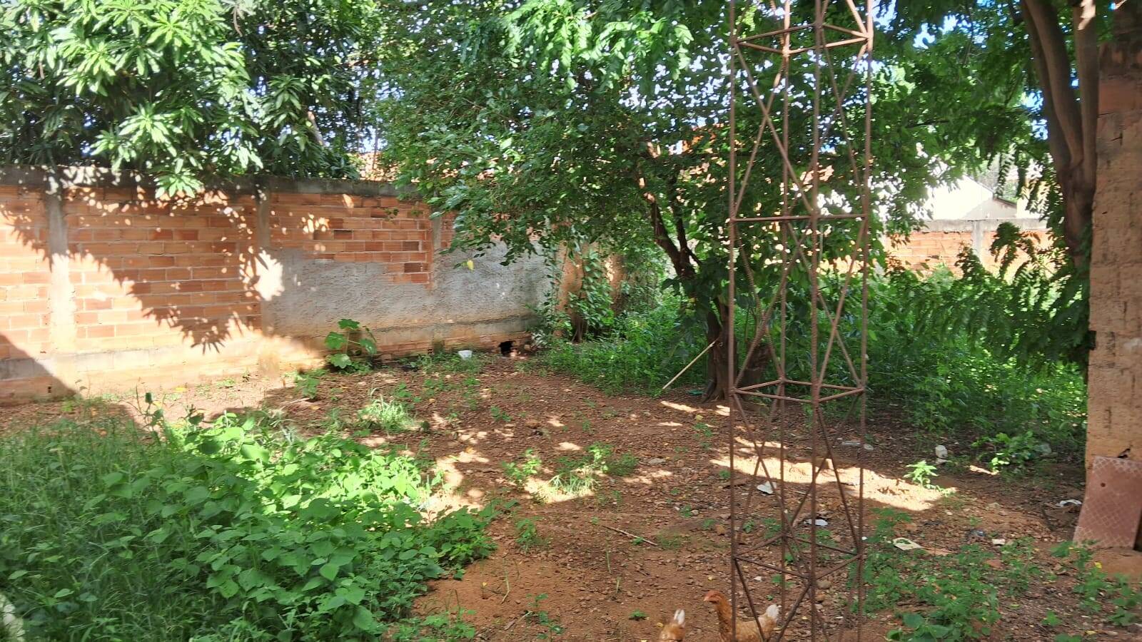 Casa, 2 quartos, 360 m² - Foto 10