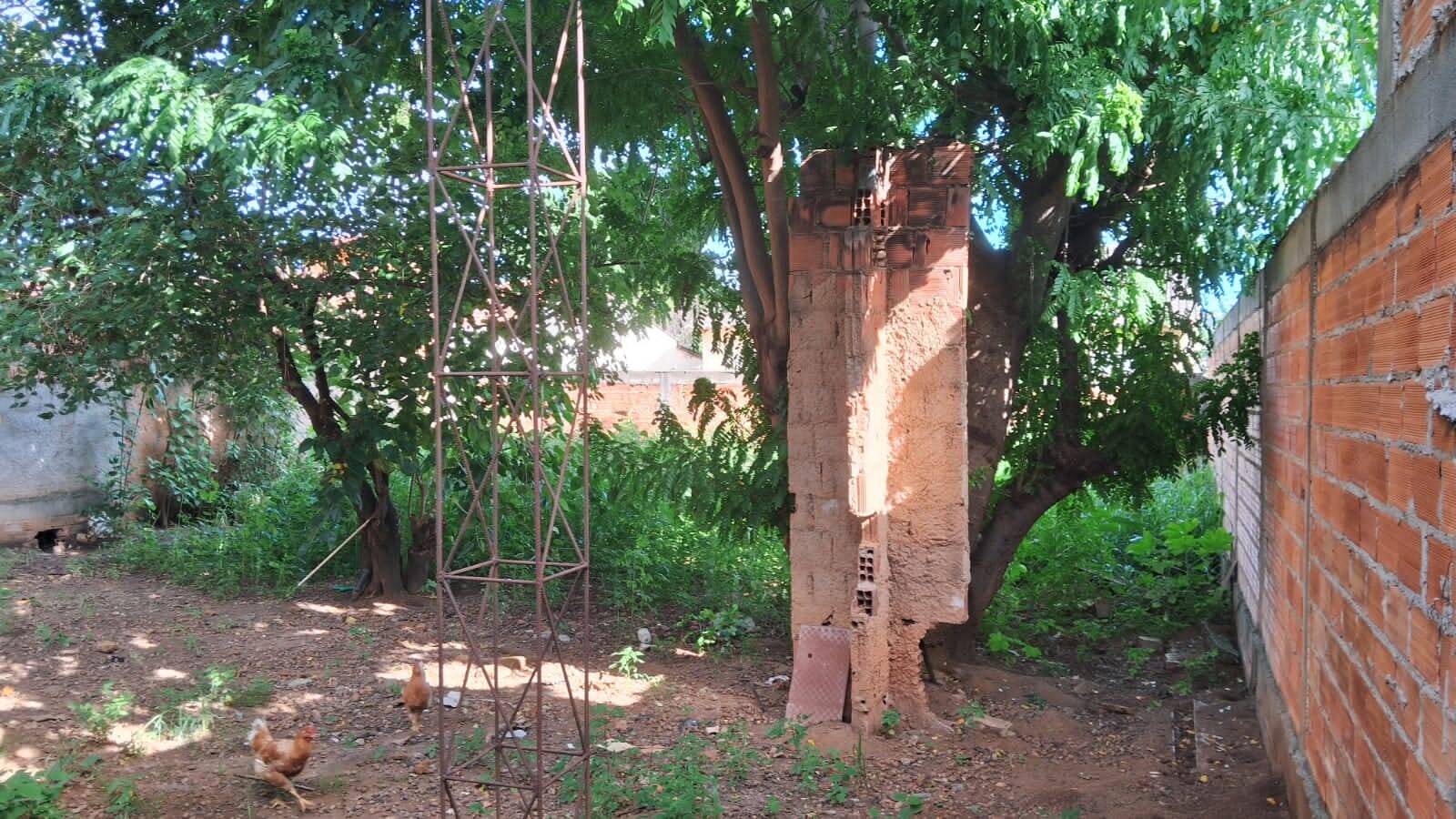 Casa, 2 quartos, 360 m² - Foto 9